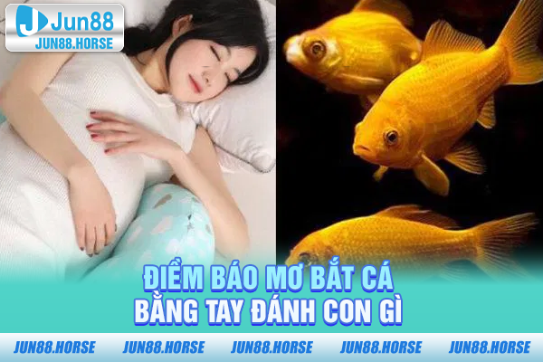 Điềm báo mơ bắt cá bằng tay đánh con gì