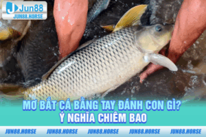 Mơ Bắt Cá Bằng Tay Đánh Con Gì Và Ý Nghĩa Chiêm Bao
