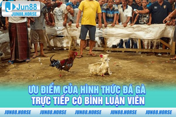Ưu điểm của hình thức đá gà trực tiếp có bình luận viên